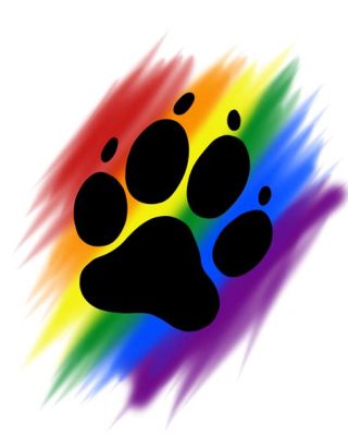 Rainbow Paw Print Meaning: A Whisker Away from Understanding