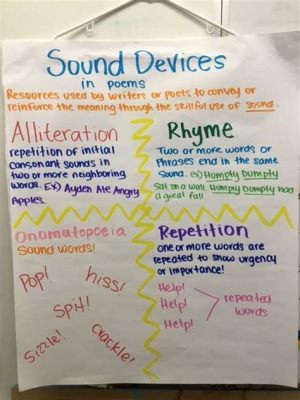 What is Sound Devices in Poetry: A Symphony of Words and Echoes